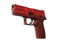 StatTrak™ P250 | Muertos (Battle-Scarred)