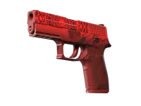 StatTrak™ P250 | Muertos (Minimal Wear)