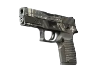 StatTrak™ P250 | Re.built (Battle-Scarred)