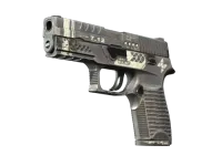 StatTrak™ P250 | Re.built (Field-Tested)