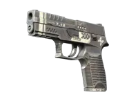 StatTrak™ P250 | Re.built (Minimal Wear)