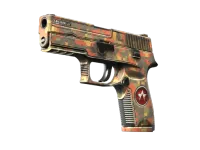 StatTrak™ P250 | Red Rock (Factory New) skin