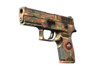 StatTrak™ P250 | Red Rock (Testad i fält) skin