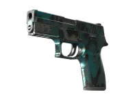 StatTrak™ P250 | Ripple (Field-Tested)
