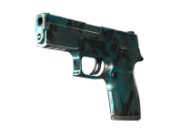 StatTrak™ P250 | Plusk (lekkie zużycie) skin