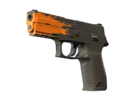 StatTrak™ P250 | Splash (Factory New) skin