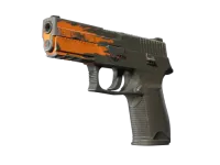 StatTrak™ P250 | Plama (po testach bojowych) skin