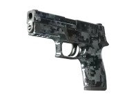 StatTrak™ P250 | Steel Disruption (Field-Tested)
