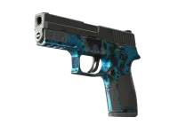 StatTrak™ P250 | Undertow (Field-Tested)