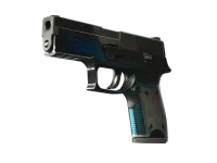 StatTrak™ P250 | Valence (Battle-Scarred)