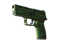 StatTrak™ P250 | Verdigris (Battle-Scarred)