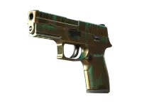 StatTrak™ P250 | Patyna (mocne zużycie) skin