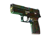 StatTrak™ P250 | Visions (Battle-Scarred)