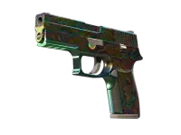 StatTrak™ P250 | Visions (Com Muito Uso) skin