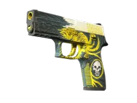 StatTrak™ P250 | Wingshot (Well-Worn)