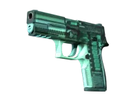 StatTrak™ P250 | X-Ray (Factory New)