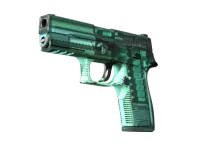 StatTrak™ P250 | X-Ray (Field-Tested)