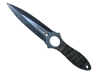 StatTrak™ Faca Skeleton ★ | Blue Steel (Com Muito Uso) skin