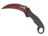 ★ StatTrak™ Talon Knife | Crimson Web (Field-Tested) skin