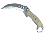 ★ StatTrak™ Talon Knife | Damascus Steel (Minimal Wear) skin