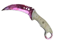 StatTrak™ Cuchillo talón ★ | Doppler (Recién fabricado) skin