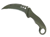 StatTrak™ Talon-Messer (★) | Safarinetz (Abgenutzt) skin