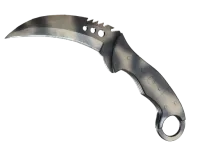 StatTrak™ Szpon (★) | Popiół (lekkie zużycie) skin