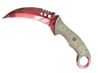 StatTrak™ Szpon (★) | Rzeź (po testach bojowych) skin