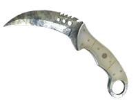 StatTrak™ ★ Talonkniv | Stained (Stridsärrad) skin