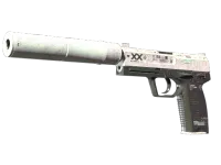 StatTrak™ USP-S | Printstream (Battle-Scarred)