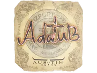 Naklejka | adamb | Austin 2025 skin