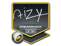 Naklejka | aizy | Kluż-Napoka 2015 skin