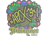 印花 | apEX（刺绣）| 2025年布达佩斯锦标赛 skin