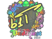 印花 | b1t（全息）| 2025年布达佩斯锦标赛 skin