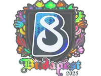 Sticker | B8 (Holo) | Budapest 2025