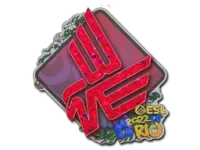 印花 | Bad News Eagles（闪耀）| 2022年里约热内卢锦标赛 skin