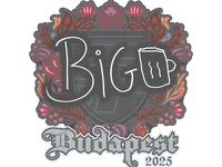 印花 | biguzera | 2025年布达佩斯锦标赛 skin