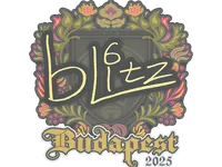 印花 | bLitz | 2025年布达佩斯锦标赛 skin
