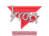 印花 | broky | 2024年哥本哈根锦标赛 skin