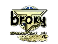 印花 | broky(金色,冠军) | 2022年安特卫普锦标赛 skin