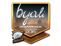 印花 | byali（闪亮）| 2015年克卢日-纳波卡锦标赛 skin