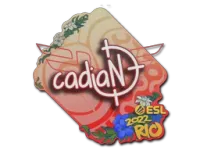 Sticker | cadiaN | Rio 2022 skin