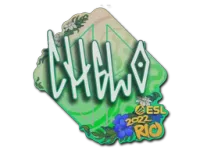 Наклейка | chelo | Рио-2022 skin