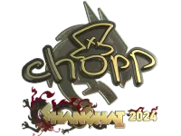 印花 | chopper (Gold) | Shanghai 2024 skin