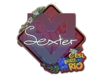 Autocolante | dexter (Glitter) | Rio 2022 skin