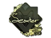 印花 | dexter(金色)| 2022年里约热内卢锦标赛 skin