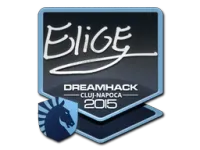 Aufkleber | EliGE | Klausenburg 2015 skin