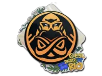 Klistermärke | ENCE | Rio 2022 skin