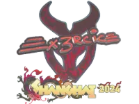 Sticker | Ex3rcice (Holo) | Shanghai 2024