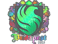 Sticker | Falcons (Holo) | Budapest 2025